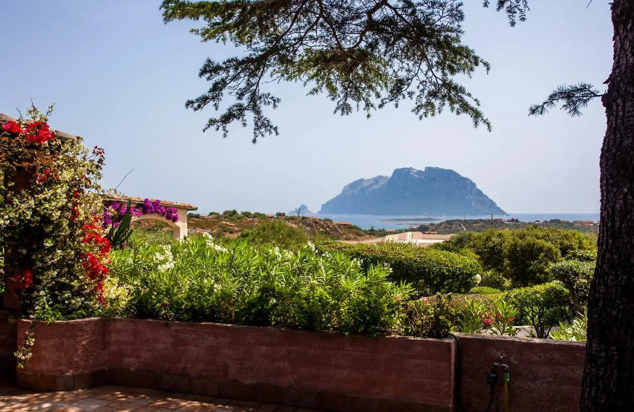 Villa Kale - Klodge Olbia